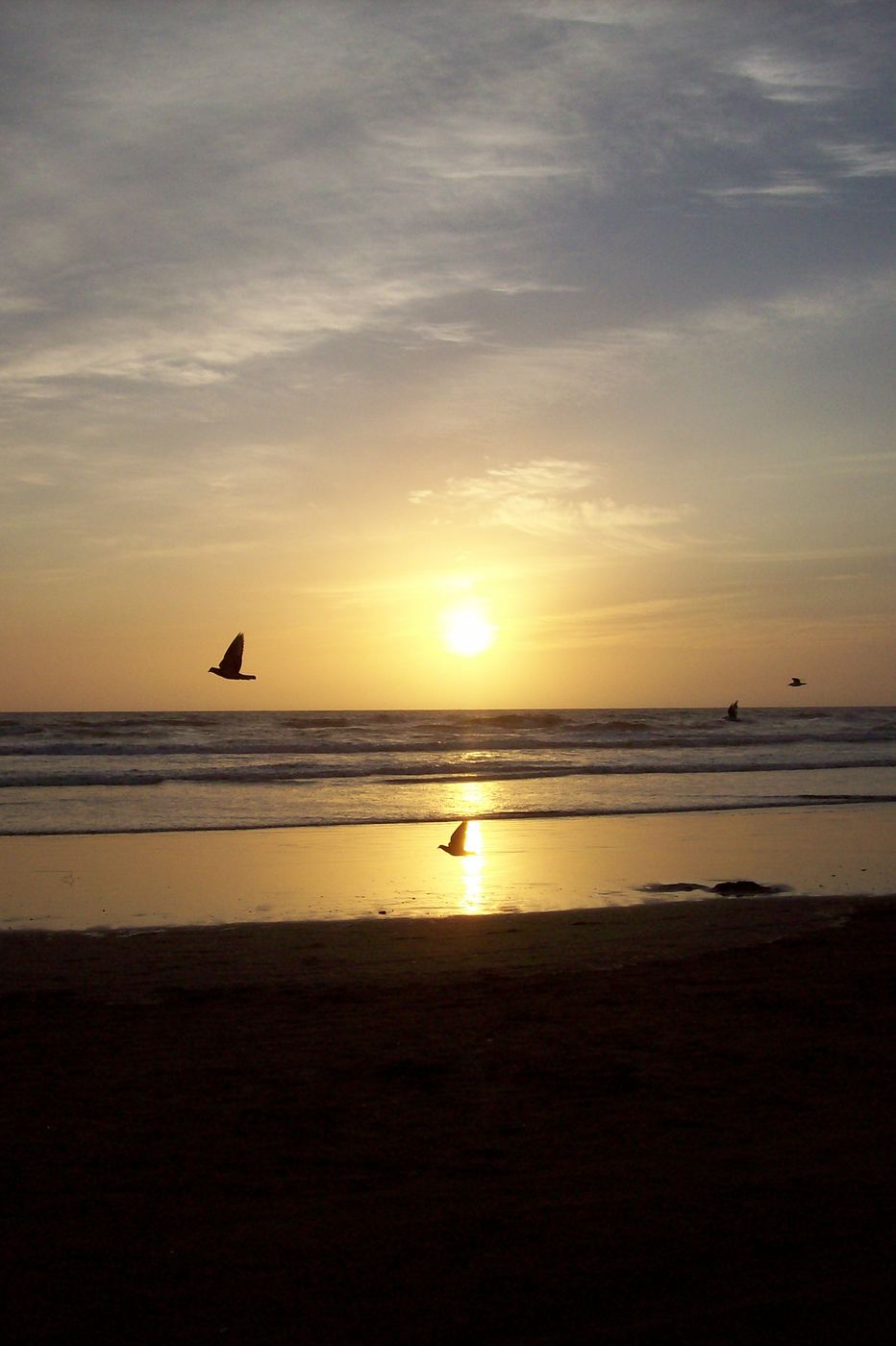 Aves y sol sobre la playa de Mar de Ajó, fotografía de Mushii